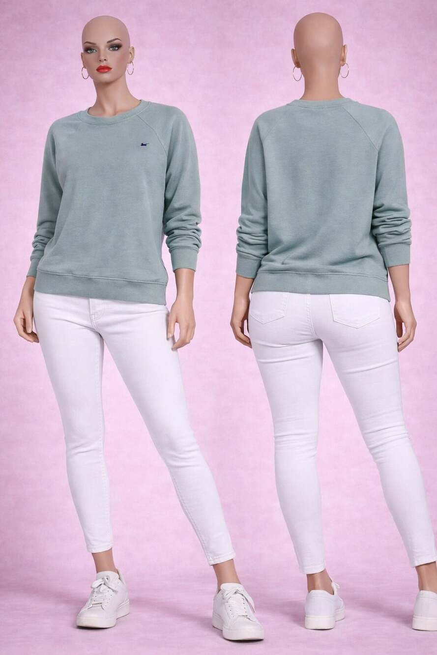Champion Women's Authentic Raglan Fleece Sweatshirt in Bluestone